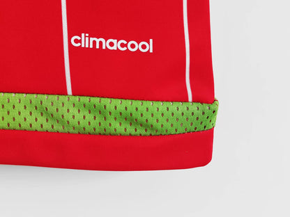 Retro 1996/98 Wales Home Jersey
