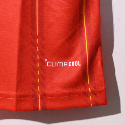 World Cup 2026 National Team Jersey Fan Kit